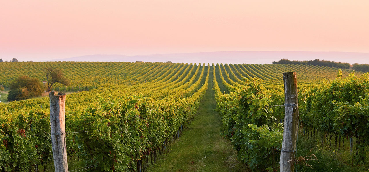 L' entroterra - Vall Policella